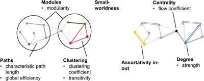 Brain effective connectivity and functional connectivity as markers of lifespan vascular exposures in middle-aged adults: The Bogalusa Heart Study